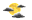 SOME CLOUDS